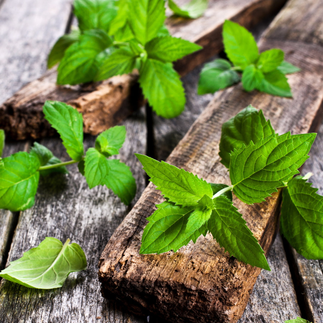 Mint Leaves