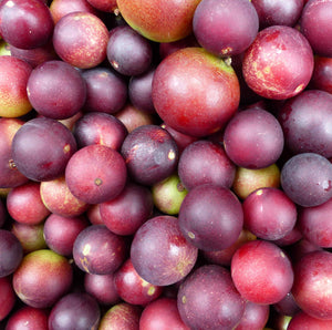 
                  
                    Load image into Gallery viewer, Camu Camu Fruit 
                  
                