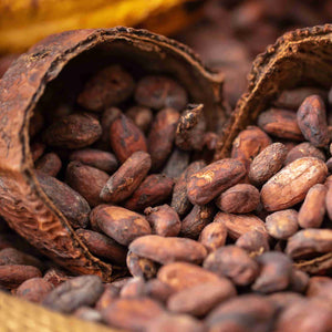 
                  
                    Load image into Gallery viewer, Organic Raw Cacao Beans
                  
                